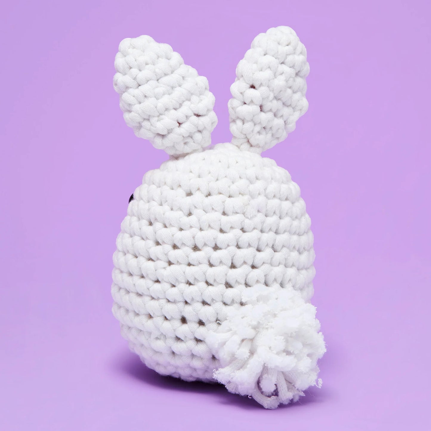 Augustin le Lapin